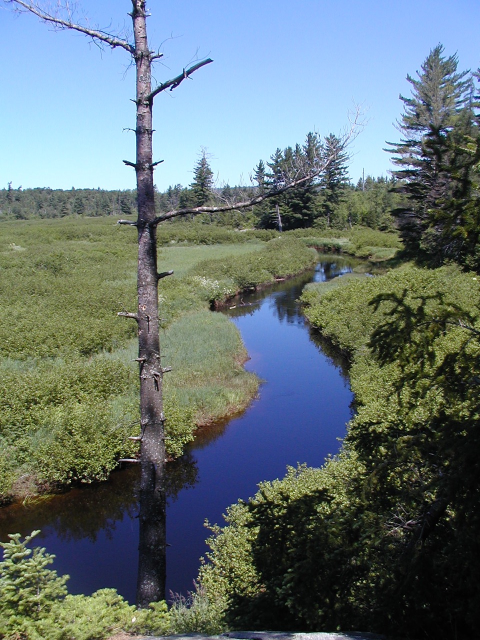 View from High Rock