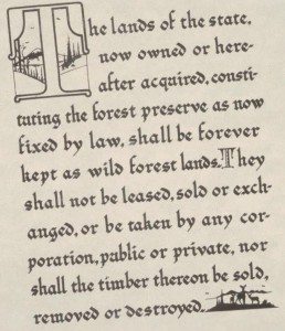 Article 14, Section 1 - cropped