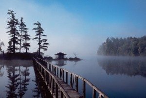 Mist Rising on Osgood Poond