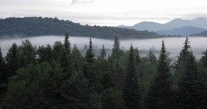 Newcomb View