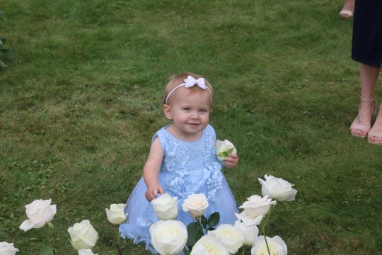 Great Granddaughter Milly picking roses