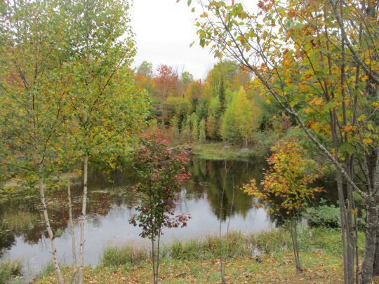 Asa Adirondack Labyrinth.